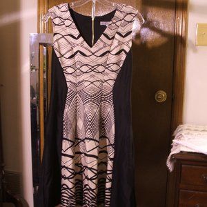 Dress, NWT, Danny & Nicole, Size 6